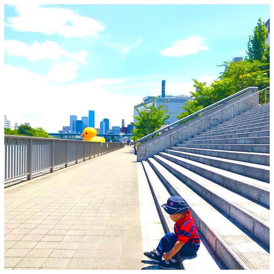 去来川奈央さんのインスタグラム写真 - (去来川奈央Instagram)「.🍉 てくてく🚶‍♀️☀️ . #1y11m  #rubberduck #rubberduckproject  #ラバーダック #ラバーダックプロジェクト #水都大阪」8月20日 9時22分 - nao.isagawa