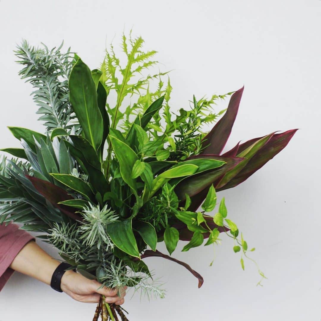 MILLE ECLAT.のグルメインスタ