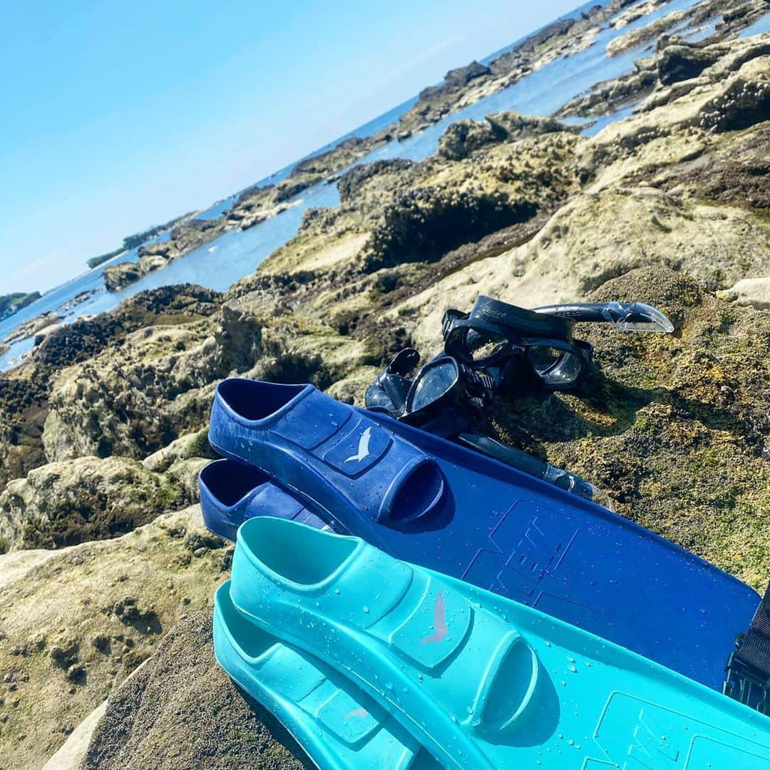 Hiroe Hiranoさんのインスタグラム写真 - (Hiroe HiranoInstagram)「葉山に戻り、海へ🌊 朝の海は透明度が高くて、めちゃくちゃ綺麗💎✨ 身も心もリリースタイム🌈  新月だから？🌙 生まれたばかりの可愛い魚達もいっぱい🐟 いろんな魚が見れたよー🤿  今に集中できる海の中は、 まさに#マインドフルネス 。  昨日も葉山の仲間達とずーっと海で楽しみました🏖 楽しかったー❤️  さ、来月も色々と盛り沢山なので 切り替えてお仕事✌️💻 午後からロサンゼルスとMTG❣️楽しみ☺️  #hayama #ocean #葉山　#lifestyle #summer #夏 #workhardplayhard」8月20日 10時42分 - hiroe_hirano