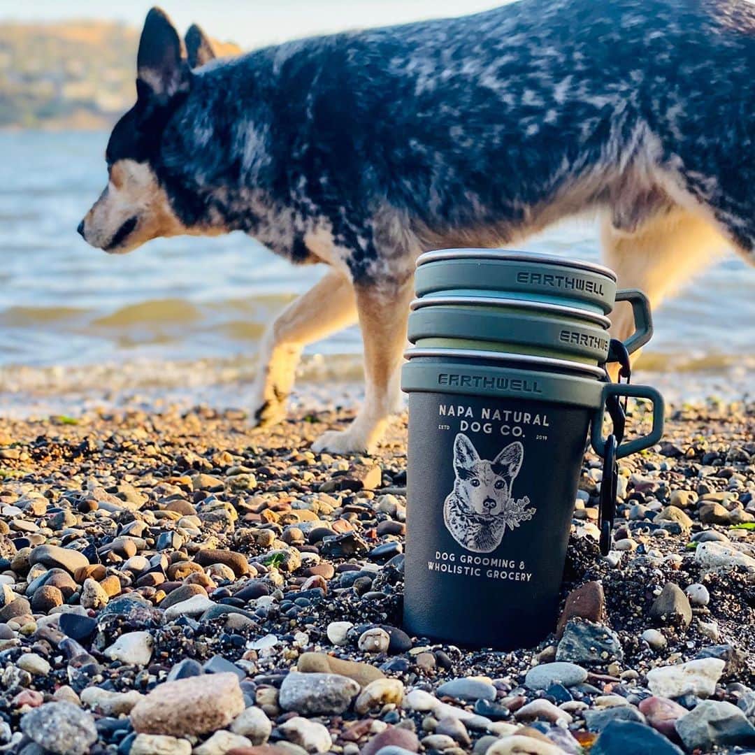 Dogs by Ginaのインスタグラム：「Our online store is LIVE! 🤘🏼 . Shop our line of branded goods for outdoor fun ☀️🐾 #barknatural」