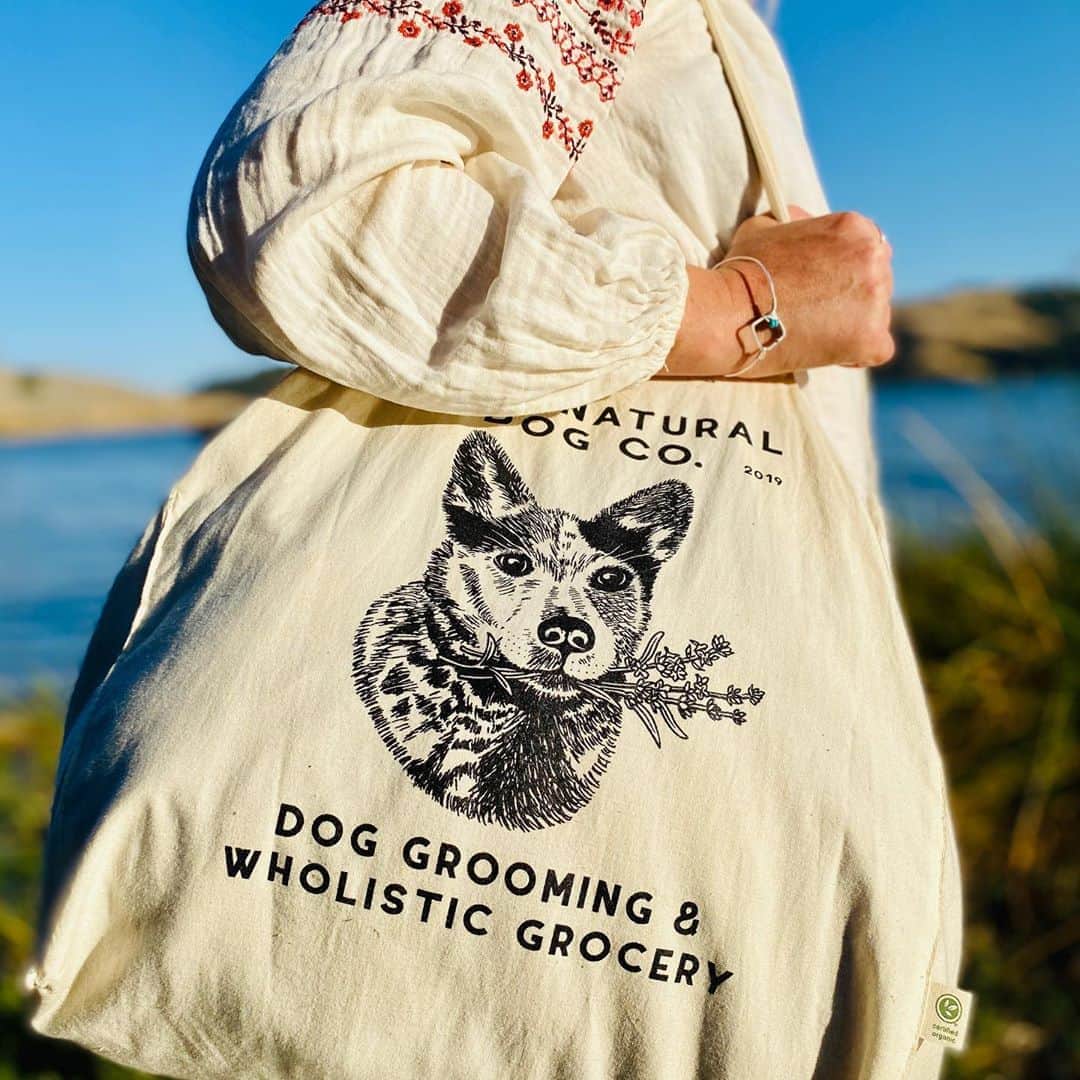 Dogs by Ginaのインスタグラム：「Our online store is LIVE! 🤘🏼 . Shop our line of branded goods for outdoor fun ☀️🐾 #barknatural」