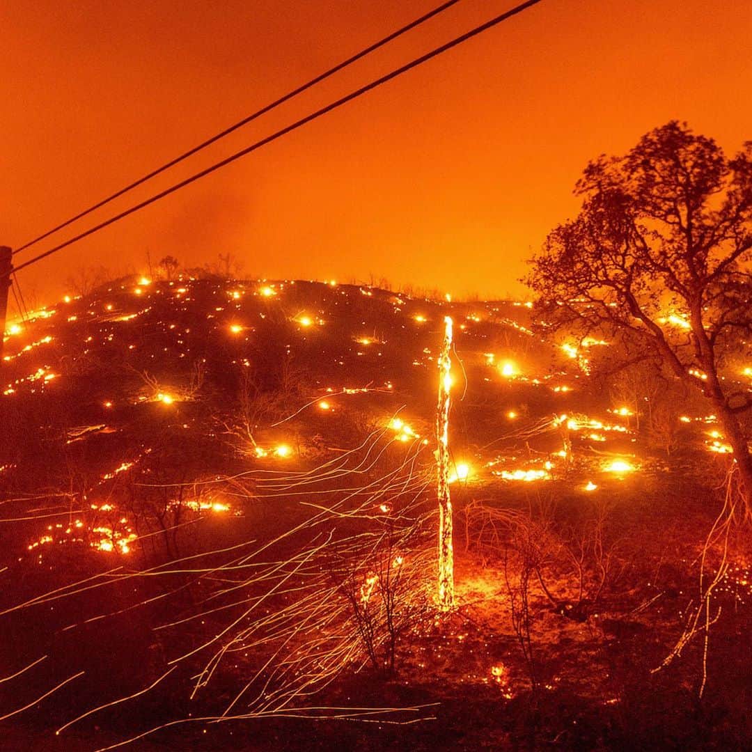 ティモシー・サイクスのインスタグラム：「BREAKING NEWS: Repost from @karmagawa California Governor Gavin Newsom declared a state of emergency after high temperatures, dry conditions and lightning sparked several wildfires throughout Northern California, which is now battling 30 wildfires. Thousands of families were ordered to evacuate over wildfires, with firefighters going door-to-door in Vacaville. Please share this to help spread awareness about this and make sure people take proper precautions and join us in praying for the safety of all the locals and animals in the area. Also, let’s all thank the brave firefighters who risk their lives around the clock to put out these fires and protect those in their path! #wildfire #prayforcalifornia #firefighter #climateemergency #firefighters #staysafe #karmagawa」