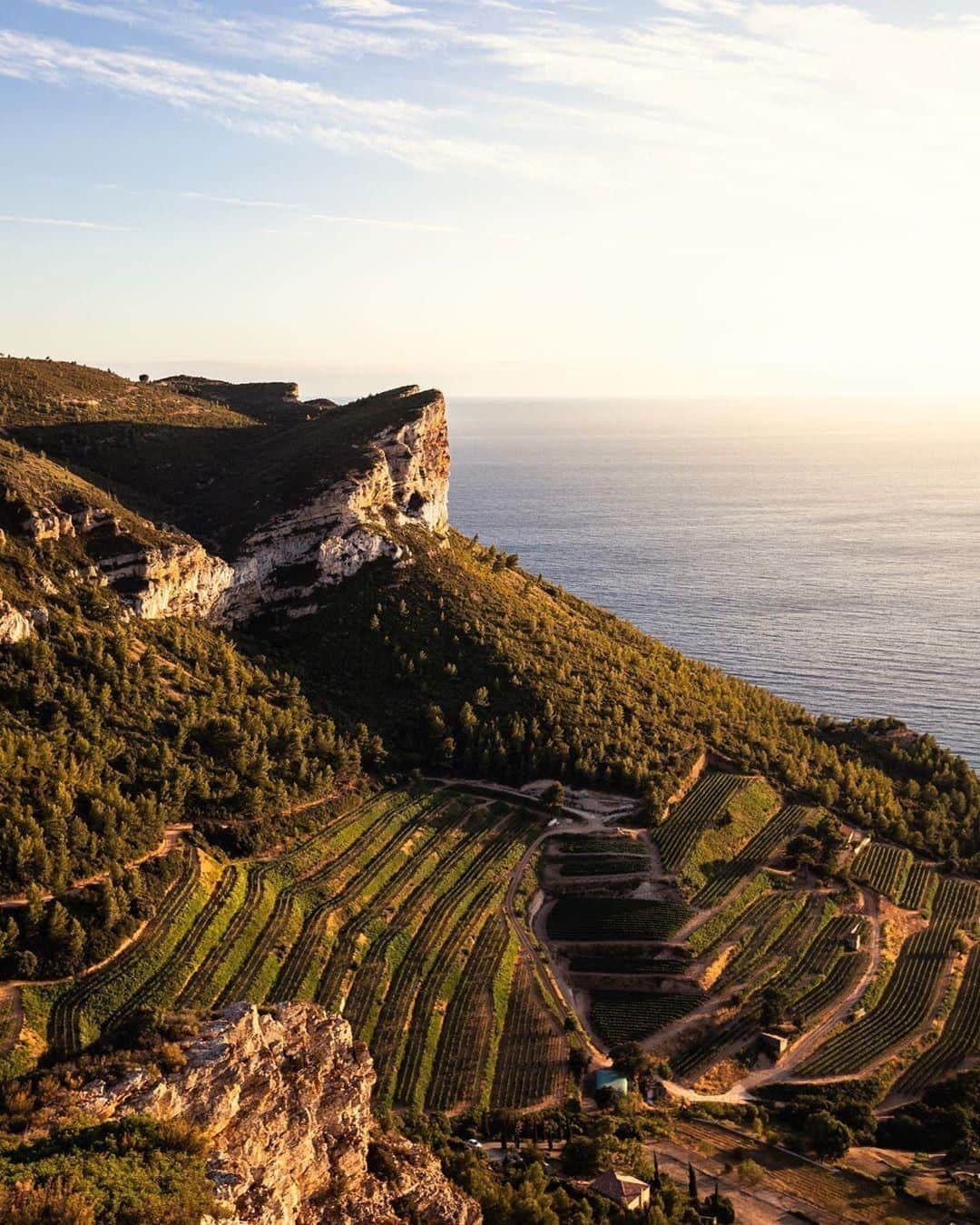のインスタグラム：「We will always be amazed by the diversity of landscapes in Provence 🌿 The Cap Canaille and the Route des Cretes are must sees if you’re ever in Cassis! What’s your favorite feature of Provence landscapes? #Regram 📸 @adrien.guitard #LOccitane #Provence #Cassis #CapCanaille #RoutedesCretes #Landscapes #VisitSouthofFrance #TravelWithLOccitane」