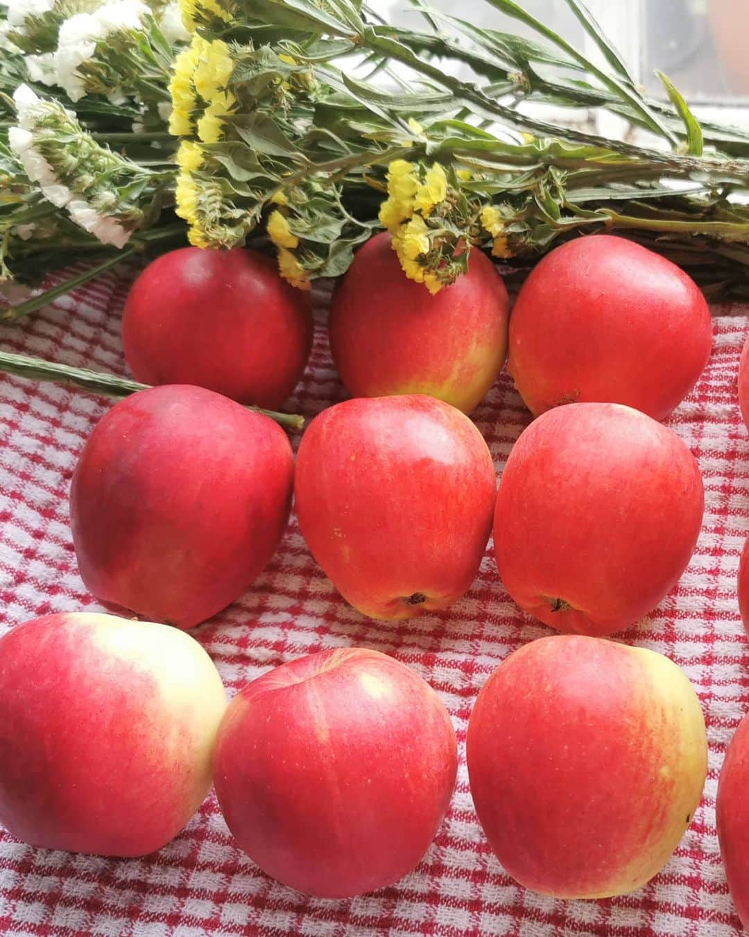 アンナ＝マリア・ガロヤンさんのインスタグラム写真 - (アンナ＝マリア・ガロヤンInstagram)「People believed that on this day all apples become healing. Also, all wishes made during the eating of the apple will come true. During the first bite of an apple a person made a wish saying: “What is wished – will come true, what comes trues – will not pass”.🍎😇❤️ . Люди верили, что в этот день целебными становятся все яблоки.  Также сбудутся все пожелания, загаданные во время поедания яблока.  Во время первого укуса яблока человек загадывал желание, сказав: «Что пожелаете - сбудется, а то, что сбудется, - не пройдет».🍏😇💚 .  #яблочныйспас🍏🍎🍏#преображениегосподне #applesavior  #katyapples   #transfigurationsunday #яблочныйспас2020 #🍏 #ortodoxchristian #jablochnispas #яблочныйспас #applefeastday #autumnintheair  #orthodoxy #Savior #theAppleFeastDay #applelover🍎  #apples #mylondon #loveapples #londonlife #applefeast #applefest2020 #livelovelondon🇬🇧」8月20日 3時25分 - annamariagalojan