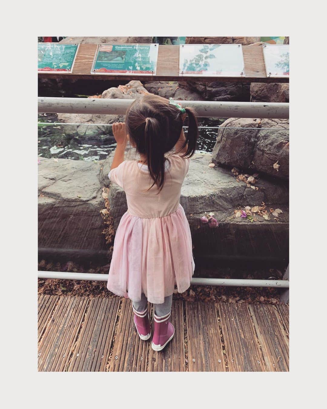 ダイアナ湯川さんのインスタグラム写真 - (ダイアナ湯川Instagram)「Aquarium day 🐠 . . . .  . #daughters #sisters #mygirls #aquarium #bristolaquarium #rainyday #family #childhood #motherhood #ergobaby #babywearing」8月20日 3時57分 - diana.yukawa