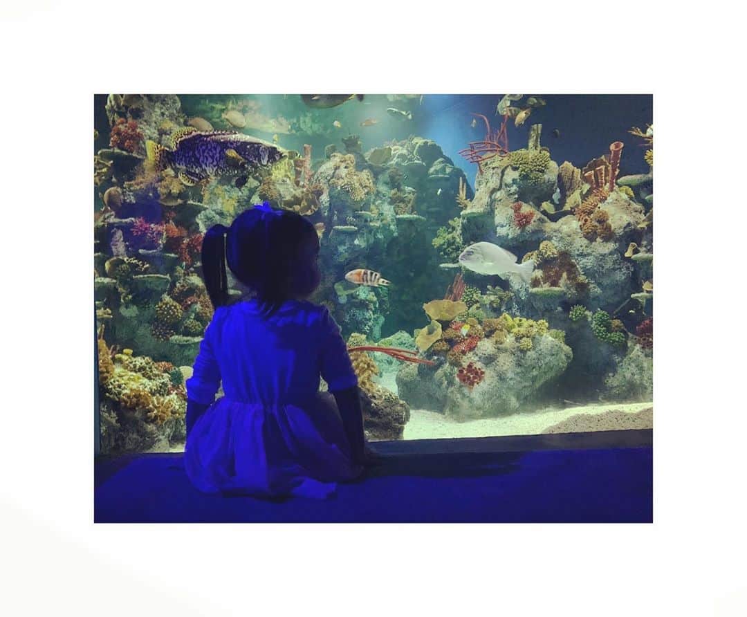 ダイアナ湯川さんのインスタグラム写真 - (ダイアナ湯川Instagram)「Aquarium day 🐠  . . . . #daughter #mygirl #aquarium #bristolaquarium #rainyday #family #childhood #motherhood」8月20日 3時56分 - diana.yukawa