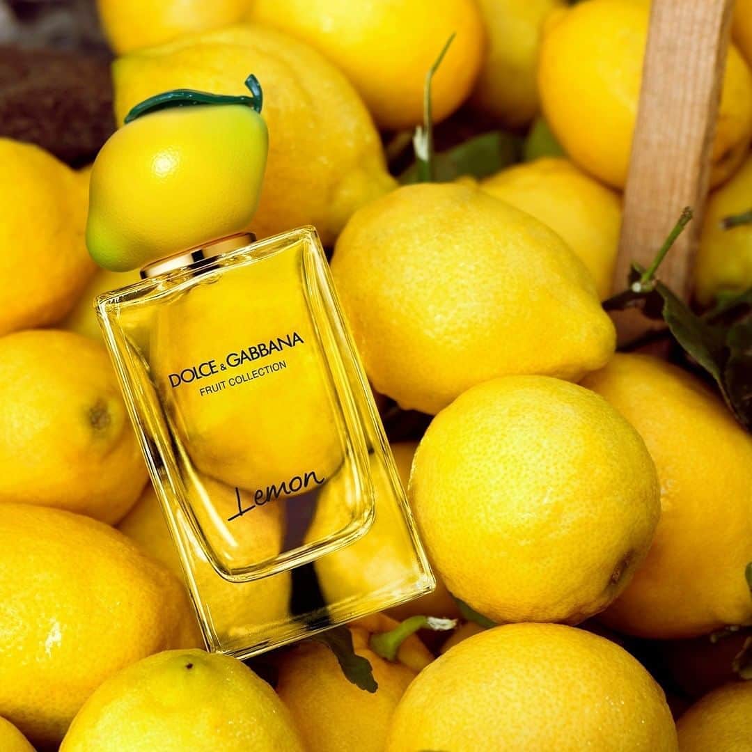 ドルチェ&ガッバーナさんのインスタグラム写真 - (ドルチェ&ガッバーナInstagram)「The olfactory creation of the Lemon fragrance conjures the happy and dynamic atmosphere of the markets in Palermo, with a golden pyramid of sweet, fragrant lemons, grown under the rays of sun on the Sicilian coastline.   #DGFruitCollection #DGBeauty #DolceGabbana」8月20日 4時00分 - dolcegabbana