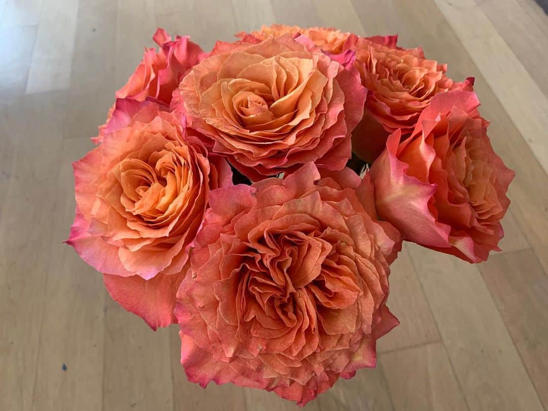 Monday満ちるさんのインスタグラム写真 - (Monday満ちるInstagram)「Amore gifted me these lovely roses that, when unleashed from their wrapping and put into a vase, opened up so beautifully that they needed to be split into two vases. Feeling spoiled 🥰」8月20日 5時02分 - mondaymichiru