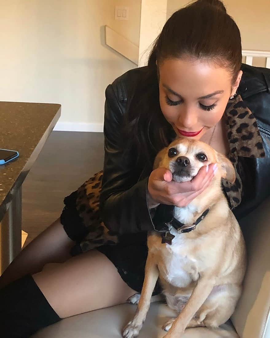 マンディー・ジルーのインスタグラム：「Star Fox appreciation post. #wcw」
