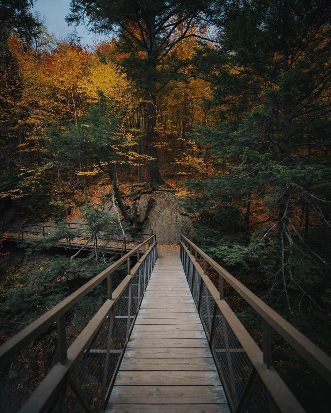 FOLKのインスタグラム：「Something warm and cozy about today’s favorites: 1.) @cfunk44 2.) @lisatutmanoglesby 3.) @ellisreed 4.) @withluke 5.) @danazvedo 6.) @beautelicieuse」