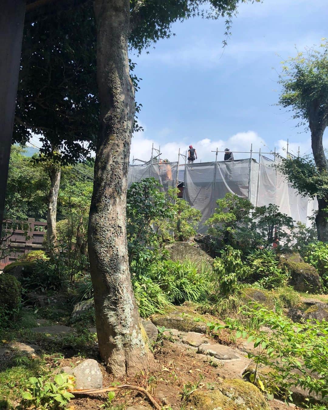町田康のインスタグラム：「下から見たらなだらかに見えるが、上がってみたら凄い勾配。それが屋根だ。」