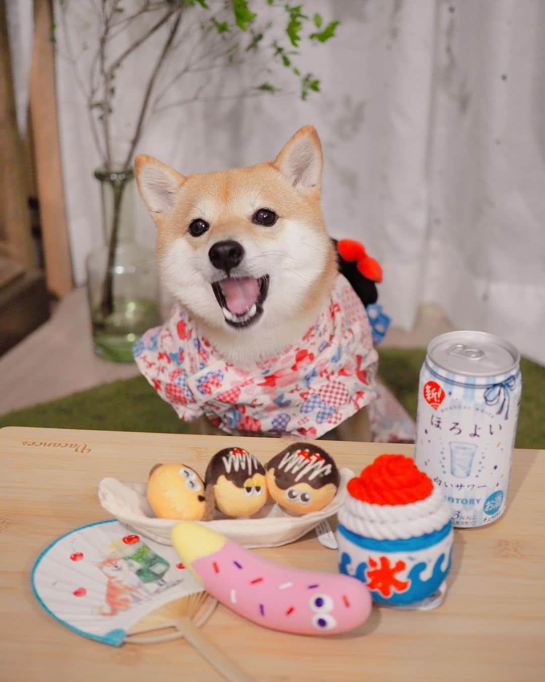 豆柴にこちゃんさんのインスタグラム写真 - (豆柴にこちゃんInstagram)「🐶🏮 おはよー 今年はお祭りもなさそうだから、 気分だけでも縁日風🍧 . 豆助くんとひなたくんのマネして 浴衣着てみたよー😊 @mamesuke_57 . ラストはイチゴチョコバナナで パパのゲームを邪魔してるとこ🍌 . @pecobox_official #PECOBOX . #柴犬#豆柴#pecoいぬ部#犬#shibastagram#petstagram#犬#犬のいる暮らし#shibainu#dog#mameshiba#pecotv#いぬのきもち部#しばいぬ#しばけん#こいぬ#シバイヌ#狗#ペット#子犬#puppy#pet#시바견#강아지#개#instacute#barked#9gag#9gagpets」8月20日 7時11分 - nikochan.mame48