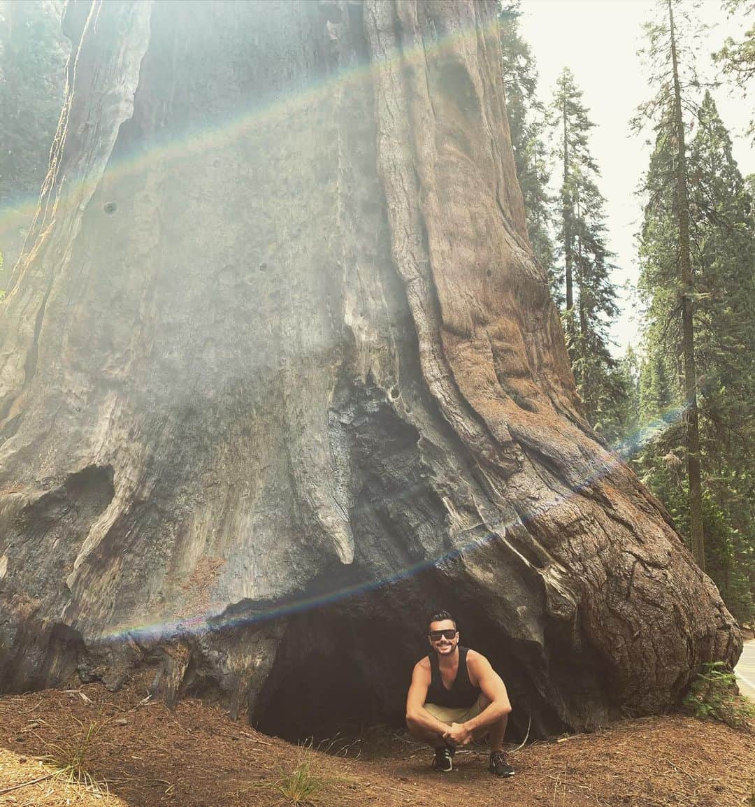 のインスタグラム：「Spent the day with trees and rainbows #forestbathing」