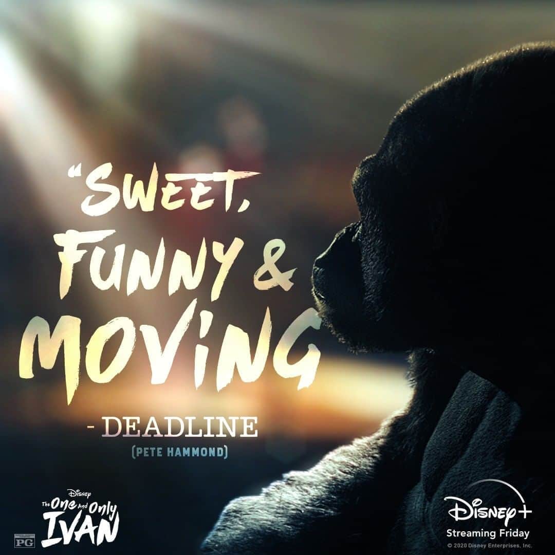 Walt Disney Studiosさんのインスタグラム写真 - (Walt Disney StudiosInstagram)「The @OneAndOnlyIvan is "sweet, funny & moving." Stream it exclusively on #DisneyPlus this Friday! #TheOneAndOnlyIvan🦍」8月20日 8時09分 - disneystudios