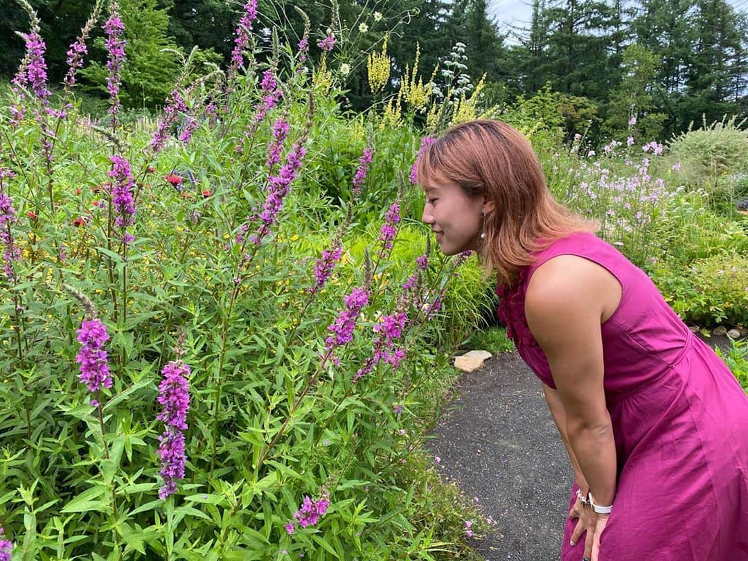 加藤未唯さんのインスタグラム写真 - (加藤未唯Instagram)「🌷🌹🌺🌻🌼💐 #花 #夏 #風のガーデン #富良野 #北海道 #Hokkaido」8月20日 8時44分 - miyukato1121