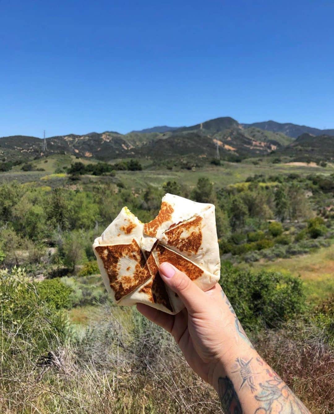 Taco Bellさんのインスタグラム写真 - (Taco BellInstagram)「The kind of friend you want to hike with.」8月20日 8時53分 - tacobell