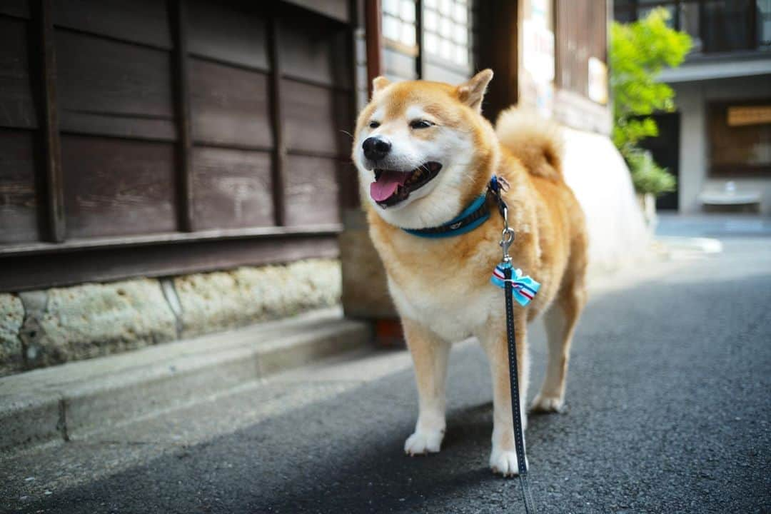 まる（まるたろう）のインスタグラム