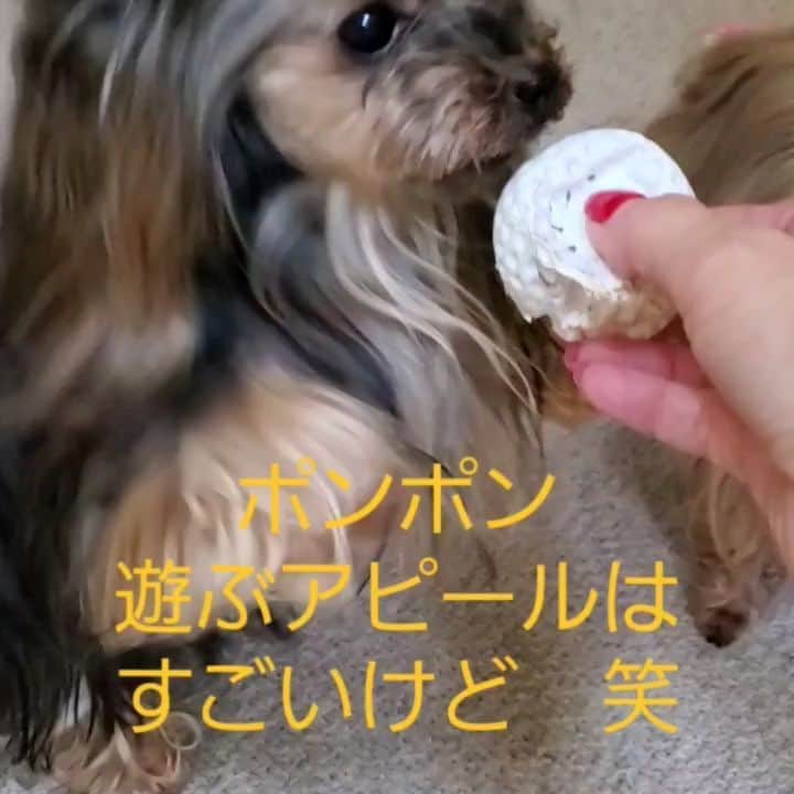 武東由美のインスタグラム