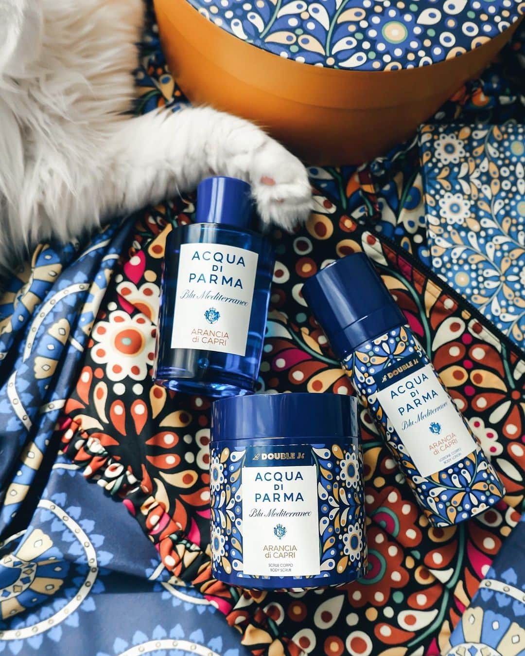 Ruby Kwanさんのインスタグラム写真 - (Ruby KwanInstagram)「Cats know how to enjoy life. 😸💫😺 And my #LunaAndQoony know how to #VacantionLikeAnItalian at home. 🇮🇹 The new #AcquaDiParma #BluMediterraneo by #LaDoubleJ capsule collection has instantly won my heart and my cats’ heart. Can’t wait to try the body scrub and lotion. And I really love the little blue notebook from the collection. 💙 @acquadiparma_official #rougeclosetlifestyle」8月20日 20時08分 - rougecloset