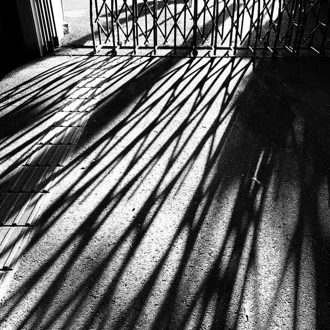 naotakeのインスタグラム：「門 - A gate / iPhone XR & Snapseed, 20200820 . . 先輩の力を借りて、一件落着の巻。 . . #spicollective #royalsnappingartists #infamous_family #rsa_main #infinity_photo_cult #2_fineart #jp_gallery_member #jp_gallery_bnw #trb_bnw #wp_bnw  #bnw_life #bnwlife_member #bnw_life_shots #bnw_captures #world_bnw #top_bnw #team_jp_ #team_jp_モノクロ #ig_energy_bw #ig_nihon #streetphotographybnw #igersjp #blackandwhite #bnw #bnwphoto #monochrome #bw #bnwphotography #ShotOniPhone #shotoniphoneXR」
