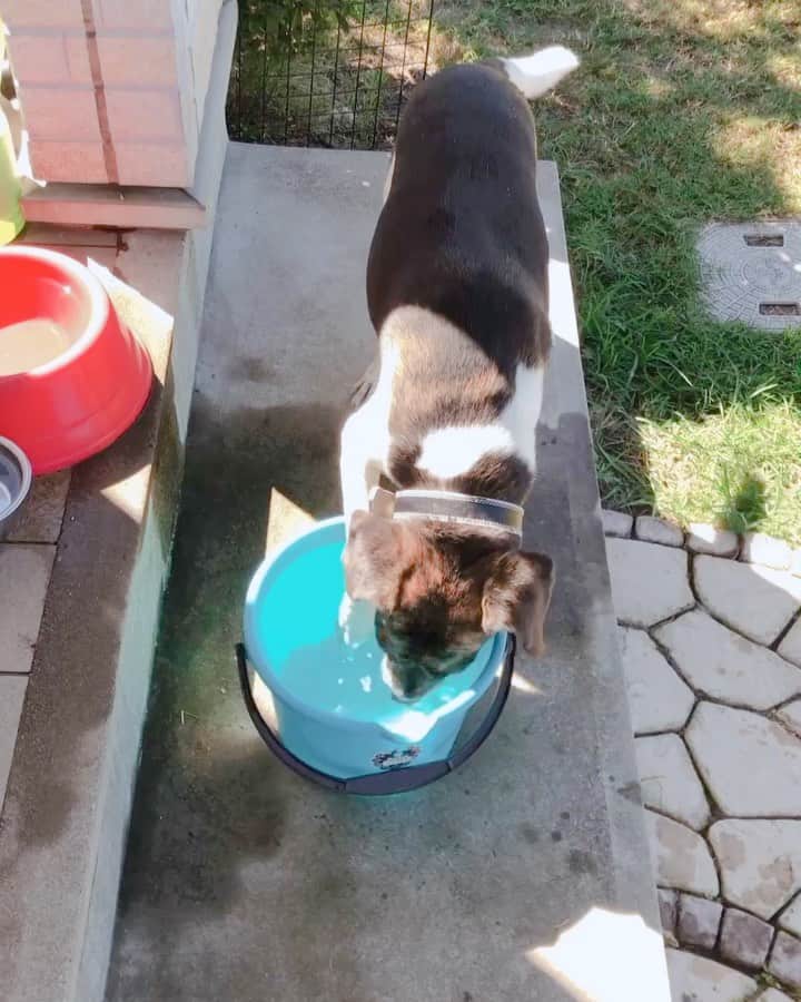 森田真以のグルメインスタ