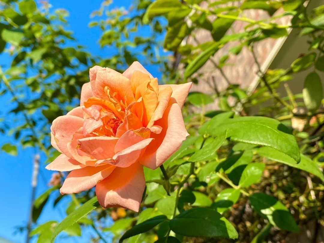 岡部晴彦のインスタグラム