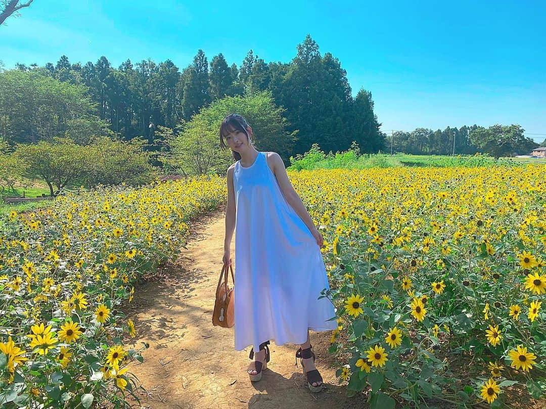 天城サリーさんのインスタグラム写真 - (天城サリーInstagram)「メンバーカラー黄色🌻🌻🌻 #ひまわり」8月20日 19時15分 - sallyamaki