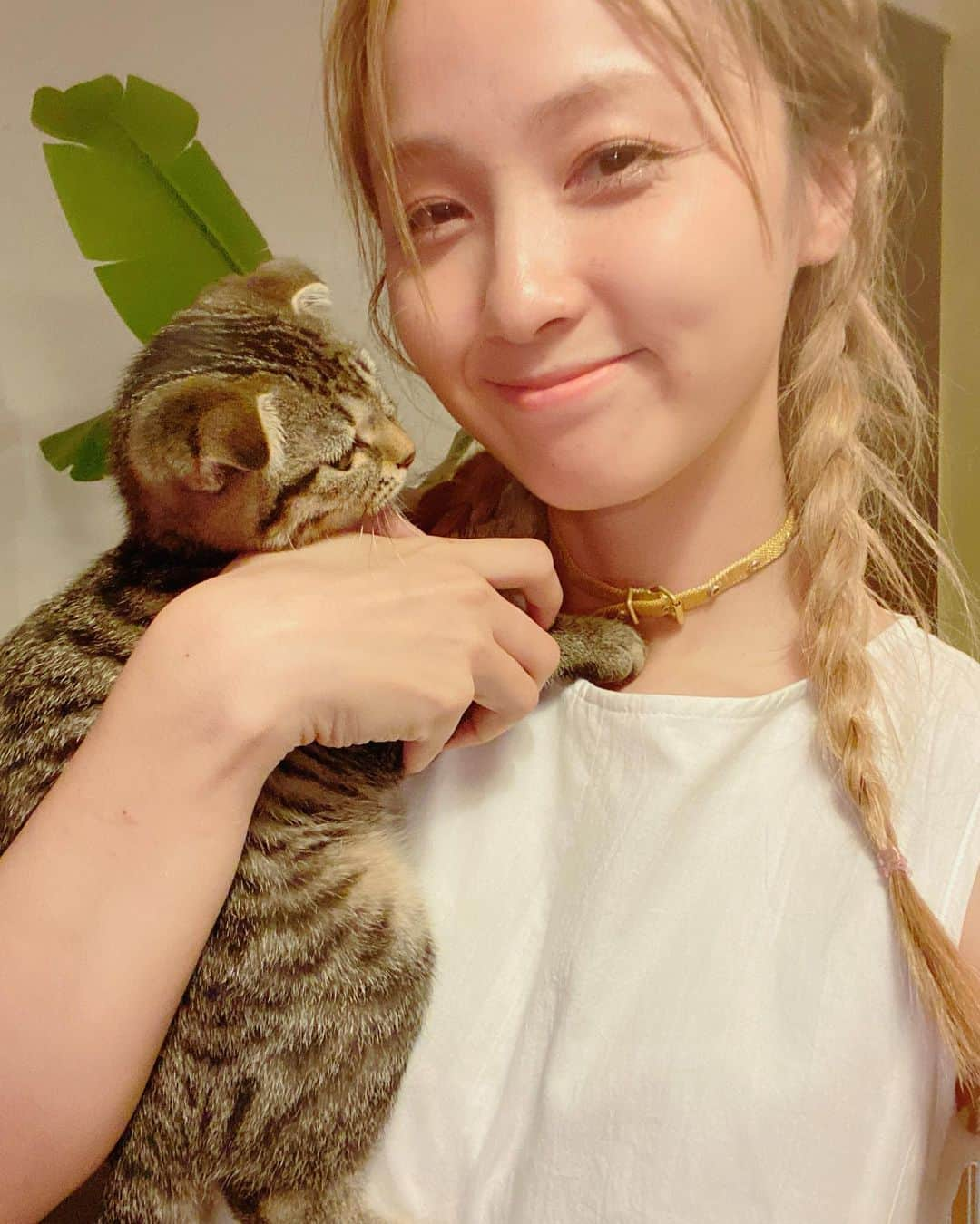 Ami さんのインスタグラム写真 - (Ami Instagram)「あなたは犬なの？って何回も聞いちゃうくらい、甘えんぼさん🥰 猫はツンデレだって聞いてたけど、やっぱり一匹一匹全然違うんだなー🤔 家具もボロボロになるって聞いてたけど、全くノーダメージで助かってます。 今日はペンペンではなく自分に首輪をしましたー 最近ネックレスにハマってて、毎日何つけるか選ぶのが楽しい💛」8月20日 20時06分 - ami_dream05