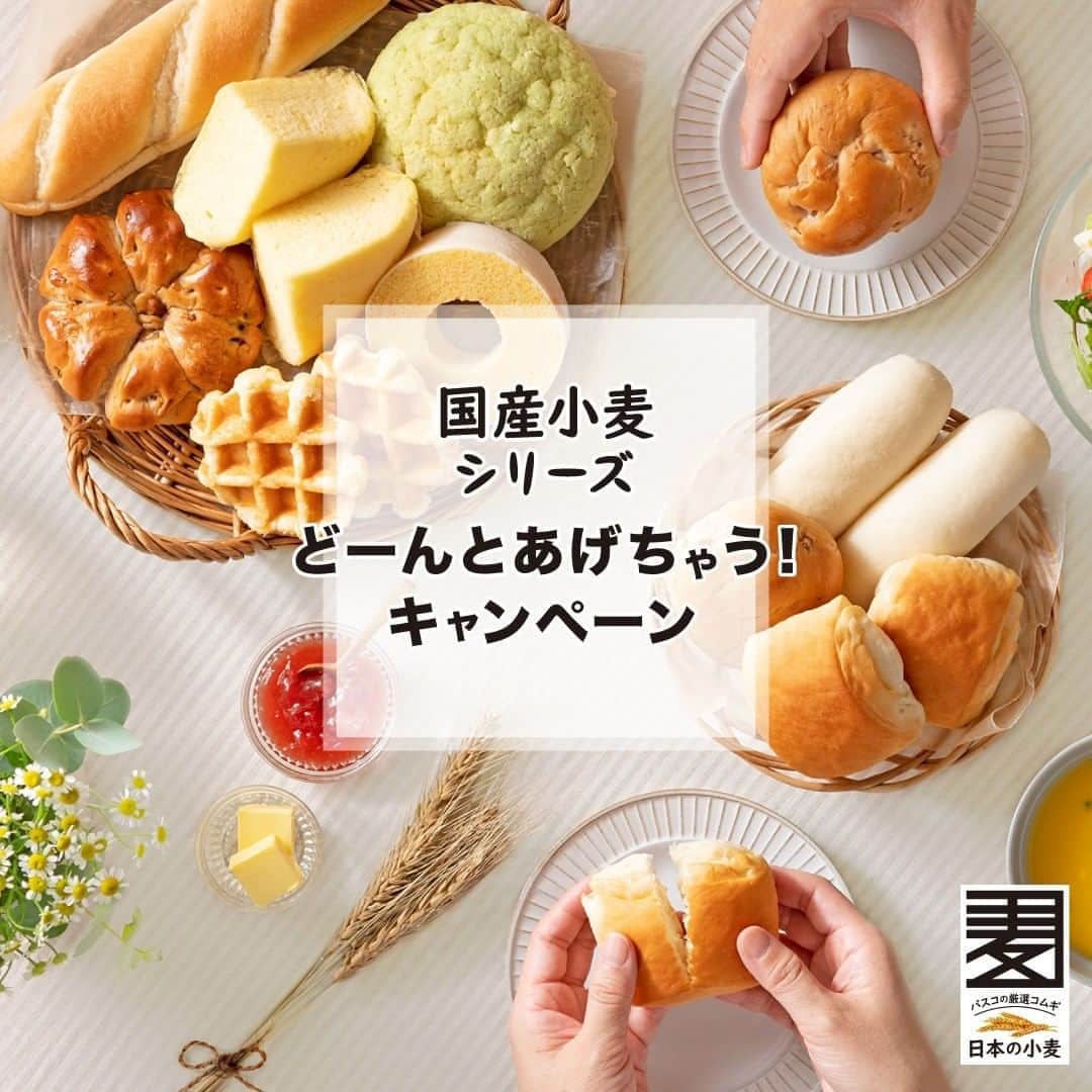 Pasco/敷島製パン株式会社のインスタグラム