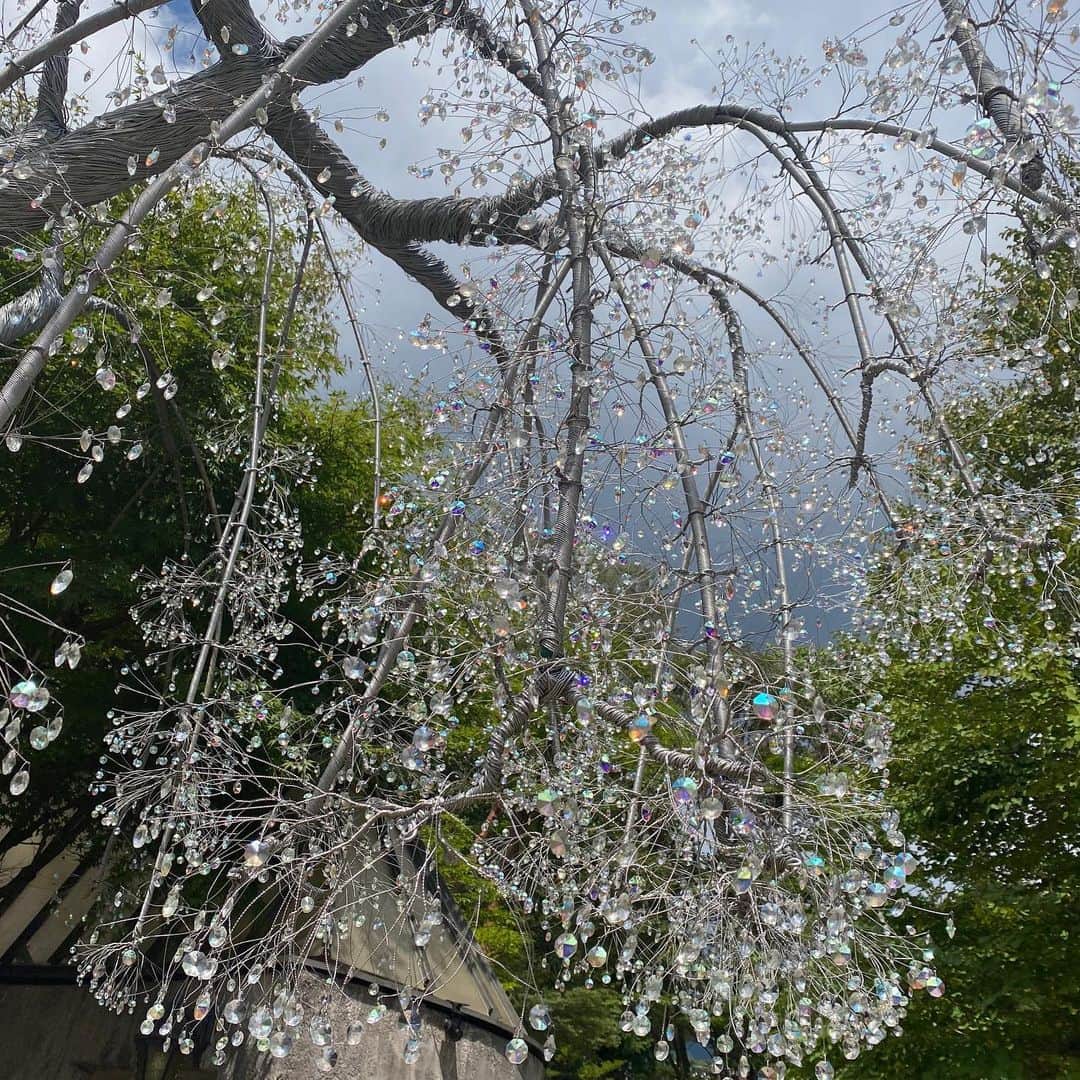 mar.ayaさんのインスタグラム写真 - (mar.ayaInstagram)「箱根続き❸🦚 @hakonegarasunomori  2日目はまず箱根ガラスの森美術館に。 ガラスの木に迎えられて、ガラスの薔薇園や、いつか富山で出会ったチフーリさんの作品展示も。 雲行き怪しい2日目だったけど、外にいる間はなんとか降られず。 夕方はも〜雷夕立すごくて焦ったけど⚡️ . 箱根まだ続く . . . #箱根ガラスの森美術館」8月20日 11時45分 - mar.aya