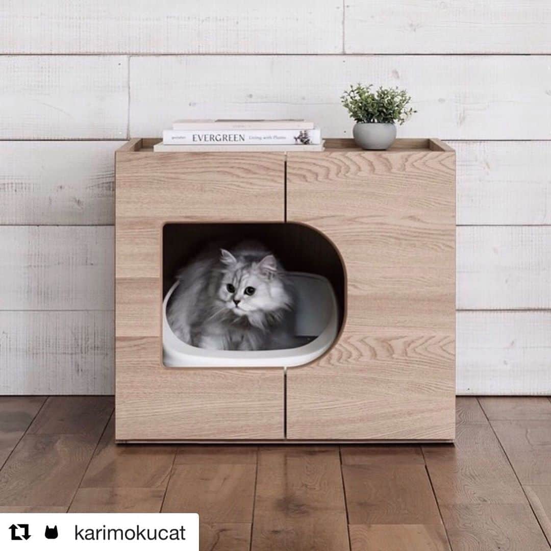 南青山LIFEStyleさんのインスタグラム写真 - (南青山LIFEStyleInstagram)「. とてもスタイリッシュで トイレと思えない見た目がすごく素敵。 いつか猫と暮らす際は こだわったものを置きたいな。 最近は、お家時間が長く ついインターネットばかりを見てしまう。 . #Repost @karimokucat @repostapp・・・ . 『KARIMOKU CAT RESTROOM』 “猫のためのレストルーム”をコンセプトに、猫にとって大切な休息場所であるトイレ環境を、さらに安心・安全な場所にしたいという想いから生まれました。 . #karimokucat #cat#neko #karineko #catfirst #カリモク #karimoku #ねこ部 #にゃんすたぐらむ #ネコ #ねこ #ねこすたぐらむ #ねこ好き#猫と暮らす #猫がいる生活 #catstagram #catlover#catfurniture #catlife#catsofinstagram#cats_of_instagram #design#productdesign #キャット #デザイン #japan #家具 #猫トイレ #猫トイレカバー」8月20日 11時50分 - man_favori
