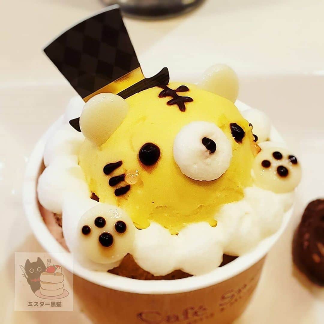 ミスター黒猫（黒猫仙人）のグルメインスタ