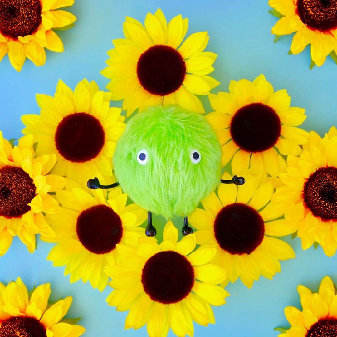 SUUMO公式アカウントさんのインスタグラム写真 - (SUUMO公式アカウントInstagram)「ぱっっ🌻🌻🌻 #ひまわり #ひまわり畑 #向日葵 #夏 #8月 #残暑 #sunflower #summer #august #スーモ #SUUMO」8月20日 12時31分 - suumo_official