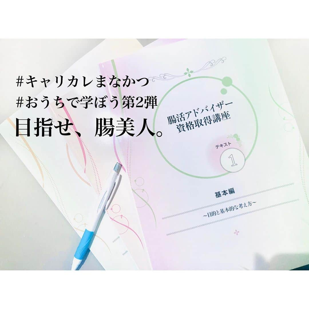 濱田文恵さんのインスタグラム写真 - (濱田文恵Instagram)「おうち時間を活用して、キャリカレ主催の「腸活アドバイザー資格取得講座」を始めてみることにしました💓﻿ ﻿ 腸は、免疫や美肌と関係が深いということで、以前から気になっていた分野ではあるものの。﻿ 腸に特化して学ぶ時間を取ったことがなかったので、今回キャリカレの #おうちで学ぼう第2弾 キャンペーンを通して、しっかり学ぼうと思います。まだペラペラとしか中身を見てないですが、実践的なことが詰まってそうで楽しみ。﻿ ﻿ 半年間かけて、マイペースに学んでいこうと思うので、皆さまの役に立ちそうなことがあったら、またシェアしますね☺️﻿ ﻿ #資格試験 #おうち時間 #おうち時間を楽しむ #腸活 #腸美人 #学びの時間 #腸内環境 #便秘解消 #キャリカレ #キャリカレまなかつ #おうちで学ぼう第2弾 @careercollegejapan」8月20日 12時35分 - tyanfumi