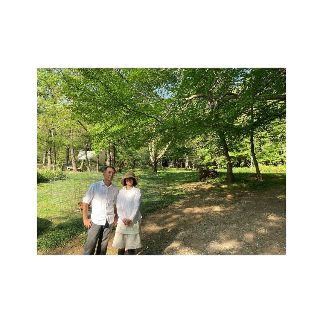 journaleatripのインスタグラム：「permaculture  四井さんに会いに。 . 確かめたかった堆肥。 先日亡くなった猫、それまでも鳥や🐐たくさんの命が堆肥としても生まれかわっている。 生命の積み重ね。 とても気持ちよさそうな寝床のようも見えた堆肥場所。 . またゆっくり伺わせていただきます。」