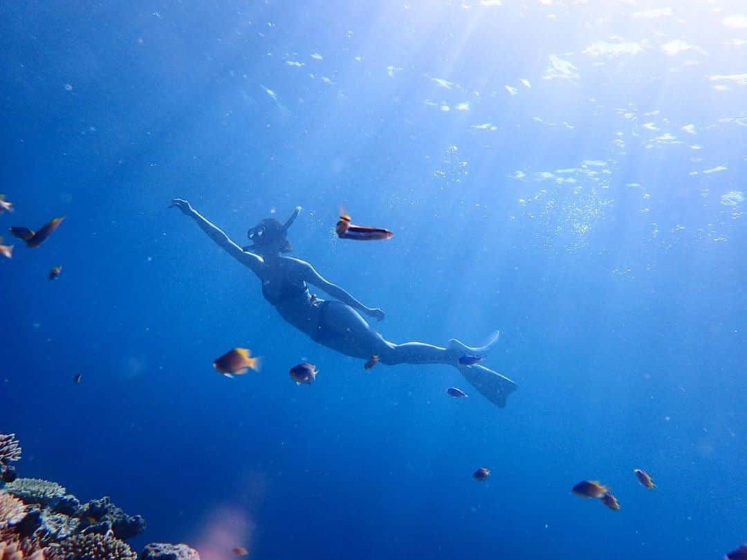 西内ひろのインスタグラム