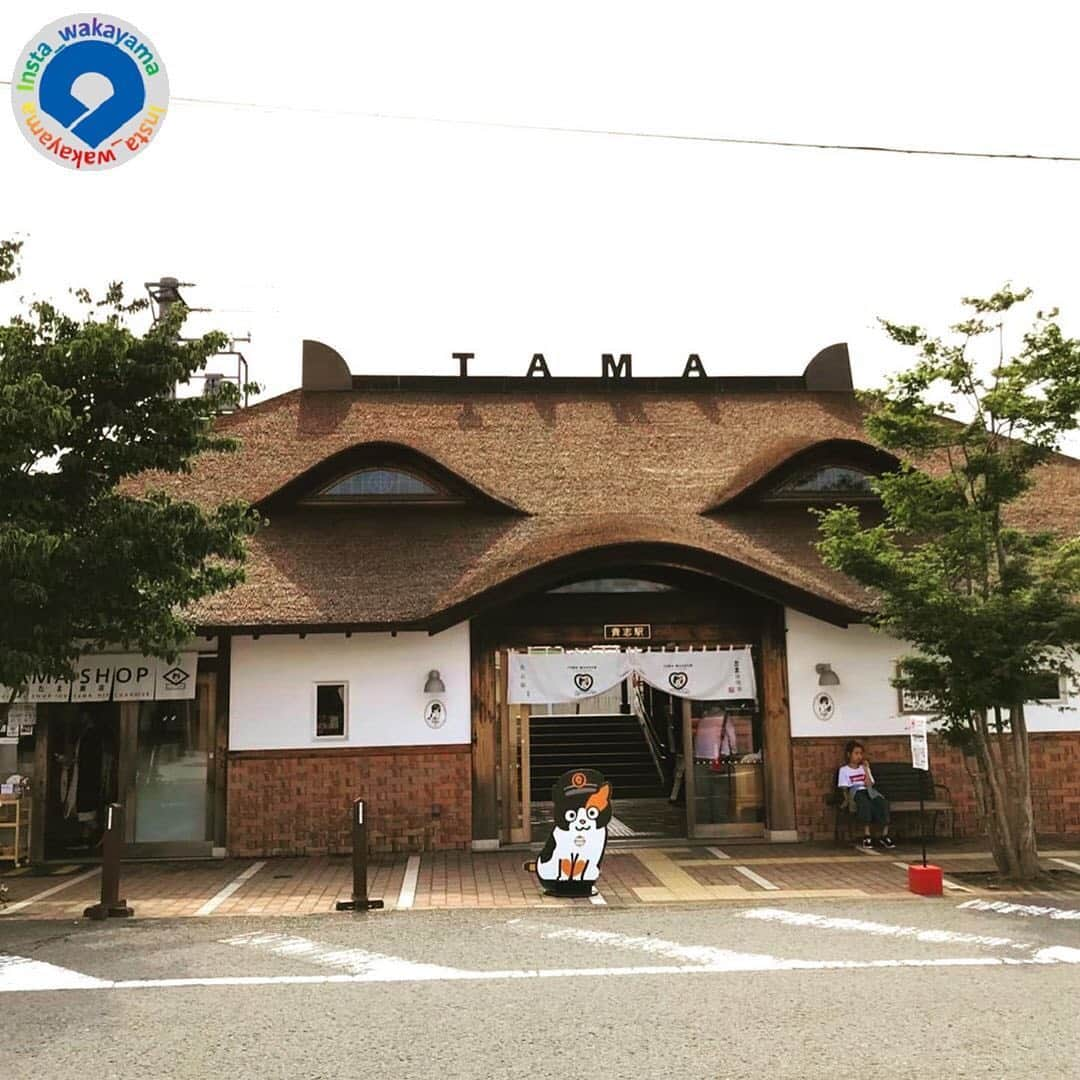 和歌山県さんのインスタグラム写真 - (和歌山県Instagram)「Insta_Wakayamaでは、皆さんがハッシュタグをつけて投稿してくださった写真から、素敵な写真をご紹介させていただきます！ 本日のピックアップは @softcream.traveler さんのお写真です☆ ハッシュタグのご利用ありがとうございますm(_ _)m . こちらは、紀の川市の貴志駅のお写真ですね🚃 お写真のとおり、駅全体が猫の形になっていてかわいらしいですね😺💕 ご存じの方もいるかと思いますが、貴志駅では代々猫が駅長に任命されています☺️✨ 2007年に一代目の駅長として就任した「タマ」は、「動物の駅長」ブームの火付け役となった猫で、また観光客の増加など地域振興にも貢献したそうです😮👏❗️ ちなみに現在は二代目の「ニタマ」が駅長に就任しています😸猫の駅長さんの存在が地域や地域の人々の支えとなっているようですね😊✨ 駅にはカフェ☕️や売店もあり、訪れた人が楽しめるようなスポットになっています🥰🎶 . 和歌山に関する投稿には「 #insta_wakayama 」のハッシュタグをつけてください★ 和歌山の魅力を皆さんで発信していきましょう！ ハッシュタグをつけると同時に、写真の場所の記載・位置情報の登録もお願いします🎵 なお、お写真を撮影される際は感染対策を十分に行ってくださいね。 . #貴志駅　#駅　#猫　#和歌山電鐵貴志川線　#紀の川市　#和歌山県 #和歌山 #station #kishi #wakayamadentetsu #kinokawa #insta_wakayama #wakayamagram #wakayama #instameet_wakayama #nagomi_wakayama #visitwakayama #retrip_news #japan #なんて素敵な和歌山なんでしょう」8月20日 13時58分 - insta_wakayama