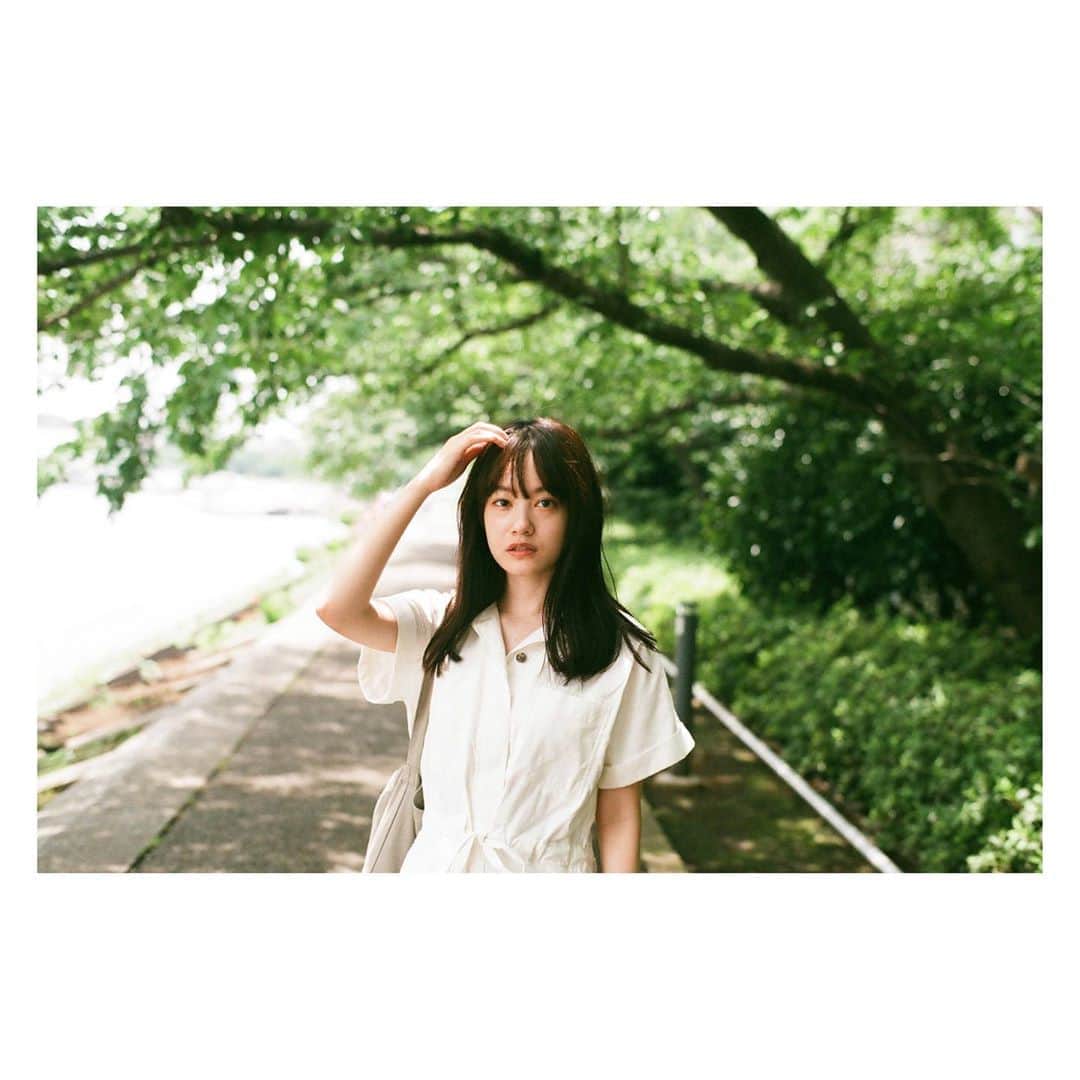 yamatoのインスタグラム：「夏の夏目」