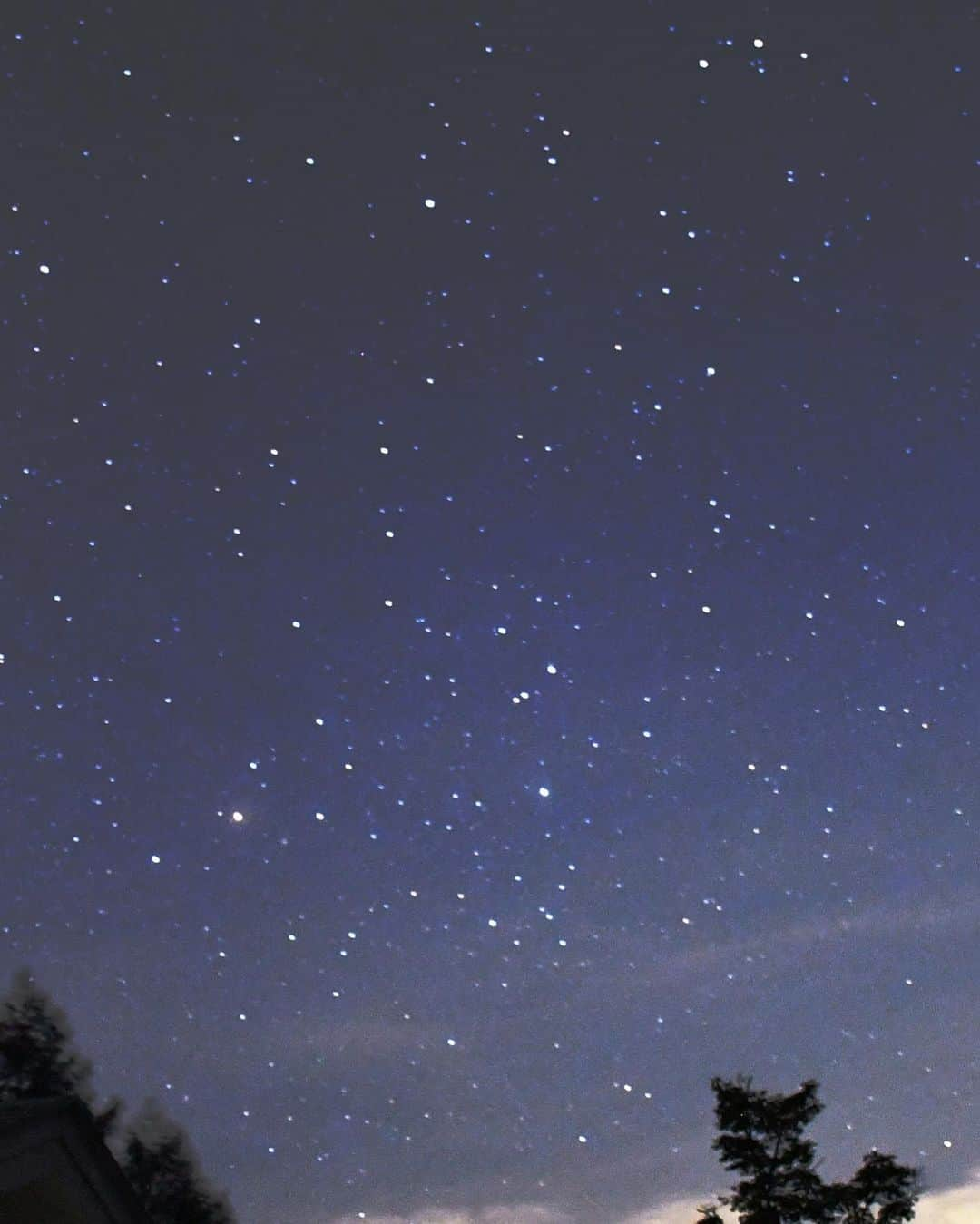 大友陽平さんのインスタグラム写真 - (大友陽平Instagram)「【日本一の星空🌌】 長野県阿智村の「ヘブンスそのはら」で、「Starry Night Festival」を取材！ 💫 一眼レフで星空撮影に挑戦してみました📸 Nikon D7500 ISO6400 シャッタースピード1/30 絞りF4です 💫 #star #星 #星空 #星空撮影 #星空撮影初心者 #長野県 #阿智村 #日本一の星空」8月20日 15時00分 - nikkan_ohtomo