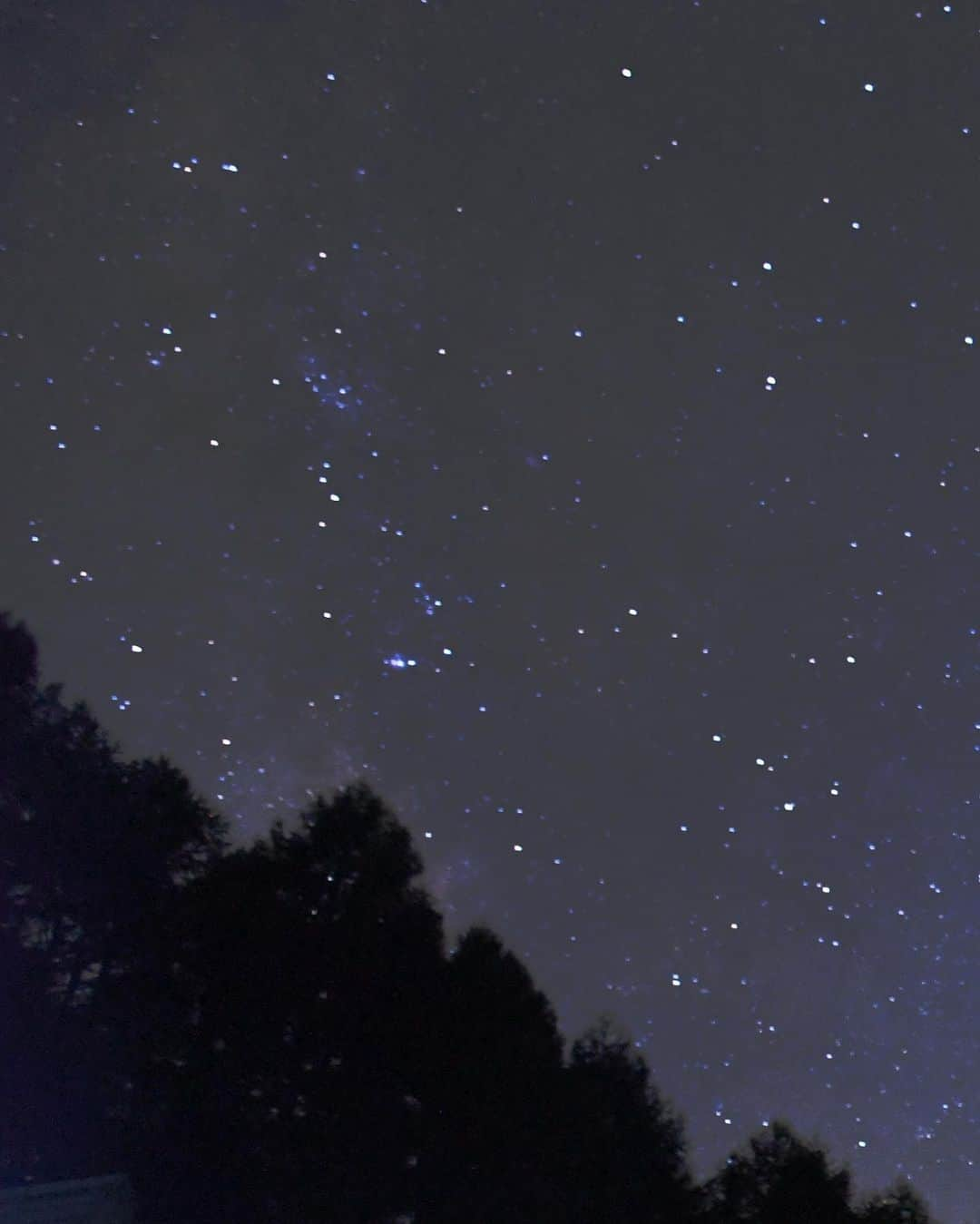 大友陽平さんのインスタグラム写真 - (大友陽平Instagram)「【日本一の星空🌌】 長野県阿智村の「ヘブンスそのはら」で、「Starry Night Festival」を取材！ 💫 一眼レフで星空撮影に挑戦してみました📸 Nikon D7500 ISO6400 シャッタースピード1/30 絞りF4です 💫 #star #星 #星空 #星空撮影 #星空撮影初心者 #長野県 #阿智村 #日本一の星空」8月20日 15時01分 - nikkan_ohtomo