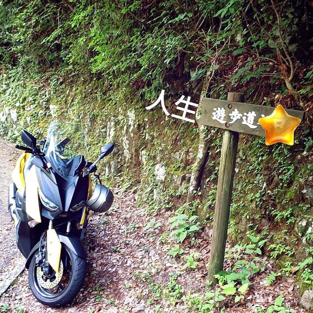 松本隆博のインスタグラム：「。 松山道～ しまなみ海道～ … 人生遊歩道～ (^-^)」