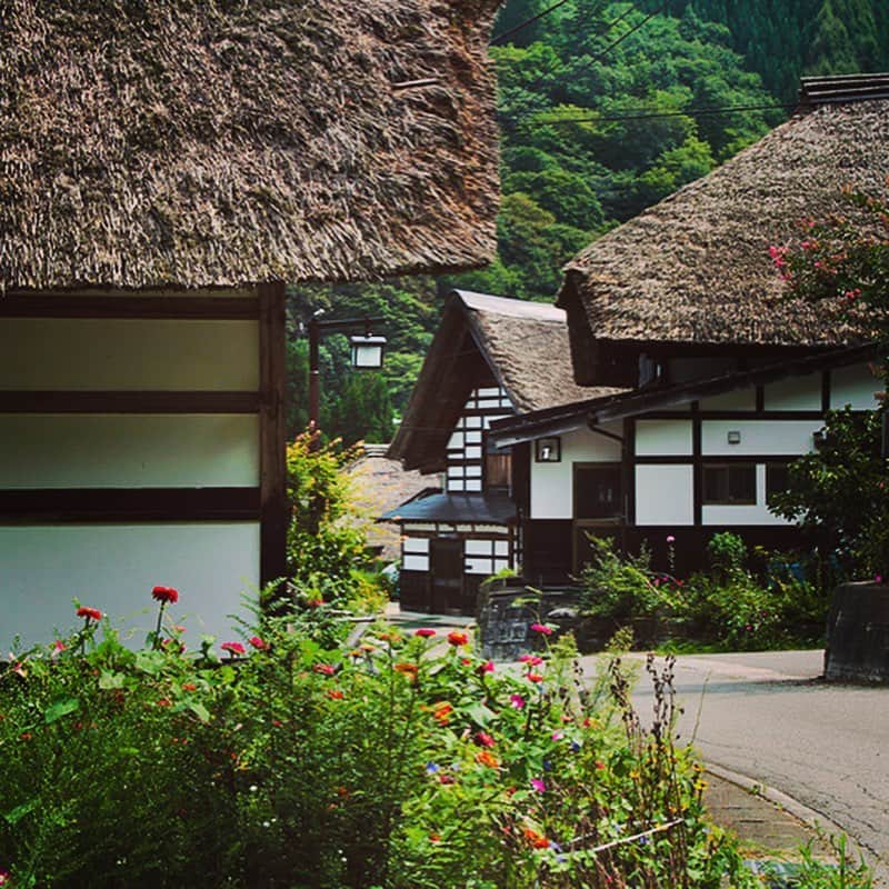 Rediscover Fukushimaさんのインスタグラム写真 - (Rediscover FukushimaInstagram)「The Maezawa Farmhouses of Tateiwa Village✨ have been nationally-designated as an Important Preservation District for Groups of Traditional Buildings. The history of this hamlet is said to date back to the arrival of Aizu samurai settlers from the Middle Ages* - a tale that has been passed from generation to generation. 🍁https://fukushima.travel/…/historic-maezawa-farmhouses-i…/63  Even today, local people take the greatest care to look after and preserve their community, through utilizing the knowledge that has been carried forward in this village since the olden days. #fukushimagram #ruraljapan #tohokucamerafan #visitjapan」8月20日 15時55分 - rediscoverfukushima
