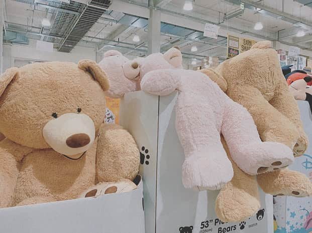 福長優のインスタグラム：「🧸🧸🧸  #costco   るんっ〜🧚🏻‍♂️」