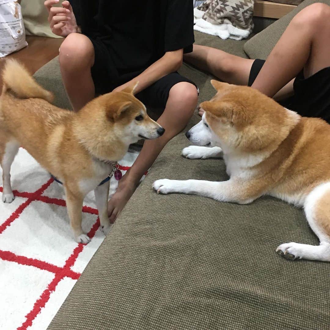 HALFBYのインスタグラム：「どこ住み？」