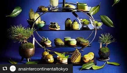 THANNさんのインスタグラム写真 - (THANNInstagram)「. . . Oz magazine 9月号にて THANN sanctuary SPA 赤坂の アフタヌーンティープランを掲載いただきました。 . . ANAインターコンチネンタルホテル東京内 「アトリウムラウンジ」で楽しめる 季節のアフタヌーンティーと THANNの全身アロマボディトリートメントが セットになったOzmallプランです。 . . プランの詳しい内容は @ozmall_editors HP内でご確認いただけます。 . アフタヌーンティーの詳しい内容は @anaintercontinentaltokyo  からご覧いただけます。 . . . #THANN#natural#wellness#タイ#ホテルスパ#anaインターコンチネンタルホテル東京#ozmall#贅沢#ごほうび#疲れリセット#リフレッシュ#THANNsanctuaryspa赤坂」8月20日 17時38分 - thannjapan