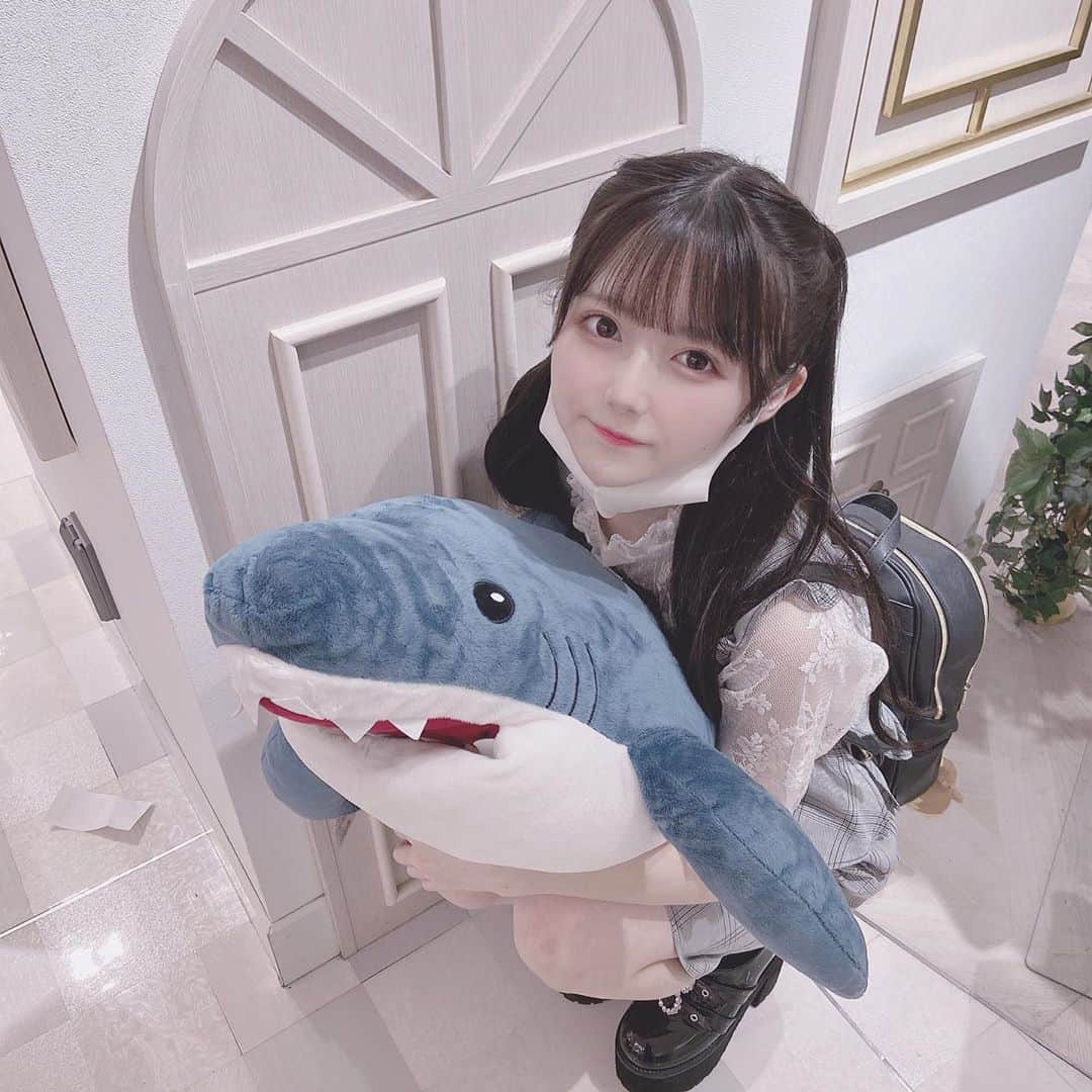 山本あこのインスタグラム：「サメをかいました  #スリジエ #山本あこ」
