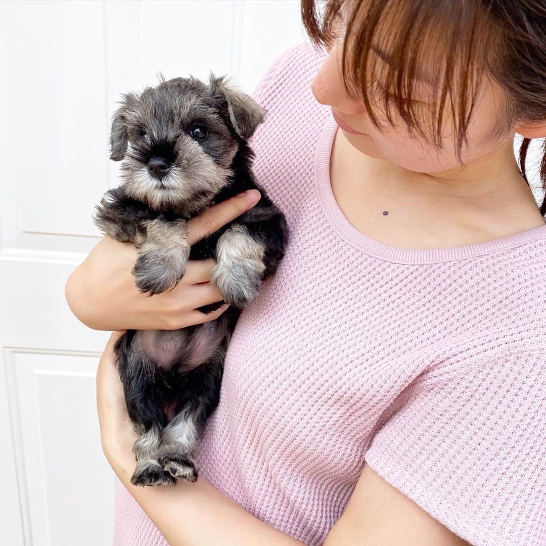 逢月あかりのインスタグラム