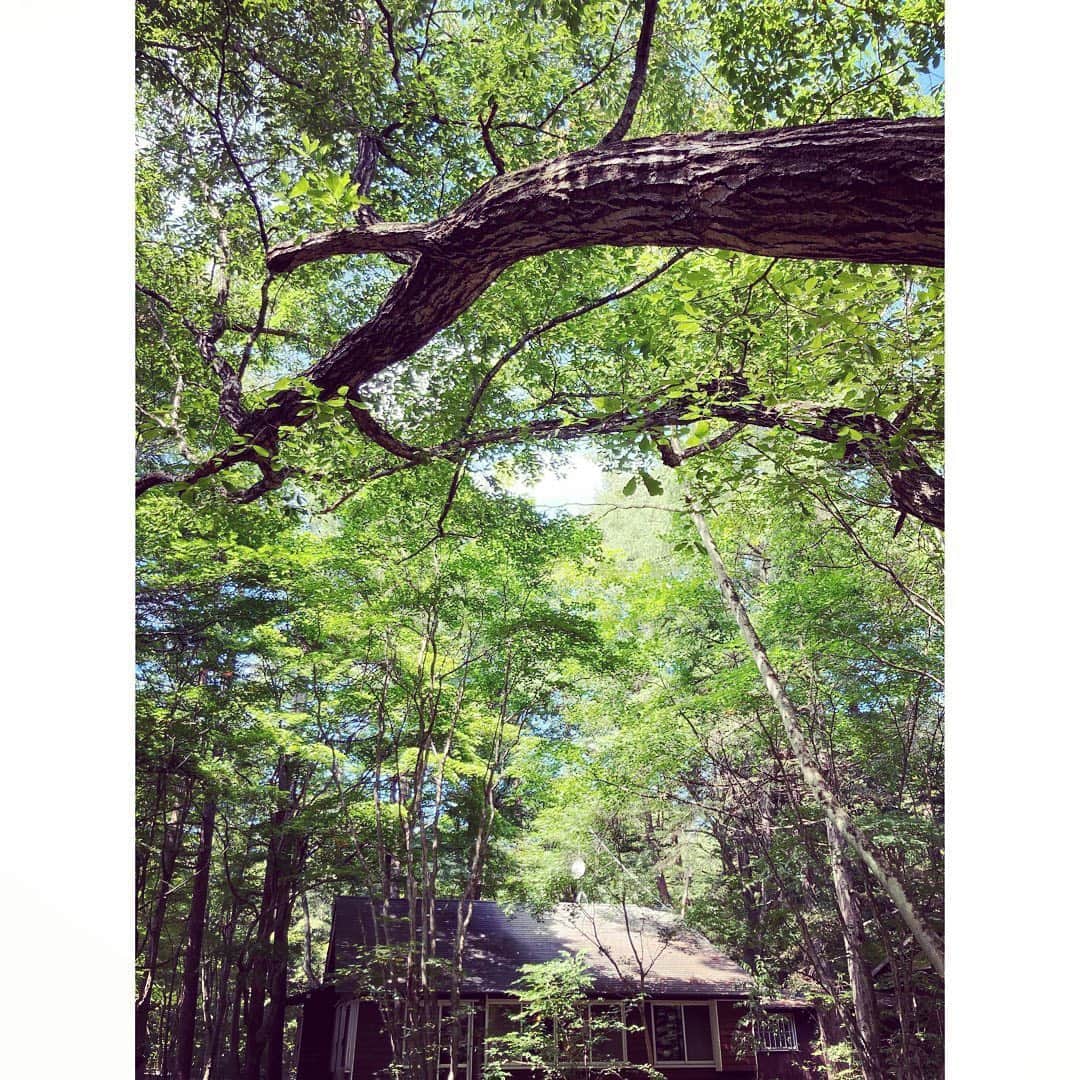 journaleatripのインスタグラム：「the little house  祖父が建てた山の家はオーバー70歳  小さな頃は五右衛門風呂 たくさんの大人の幼少期が 詰まってる山の家は壊れたらそのまま土に還りそう。 . 塀のかわりに“獣道"とよばれた 小道がぐるりと家と家の間を通っていた昔、 今は壁や柵になりはじめている。 モダンな家がたち近くの道には世界各国のスタイルの 綺麗な家も立ち並ぶ。 ホテルもどんどん増える。 . 絵本で読んだ "ちいさいおうち"をおもいだす。  ふむふむ さてさて みーんみーん。」