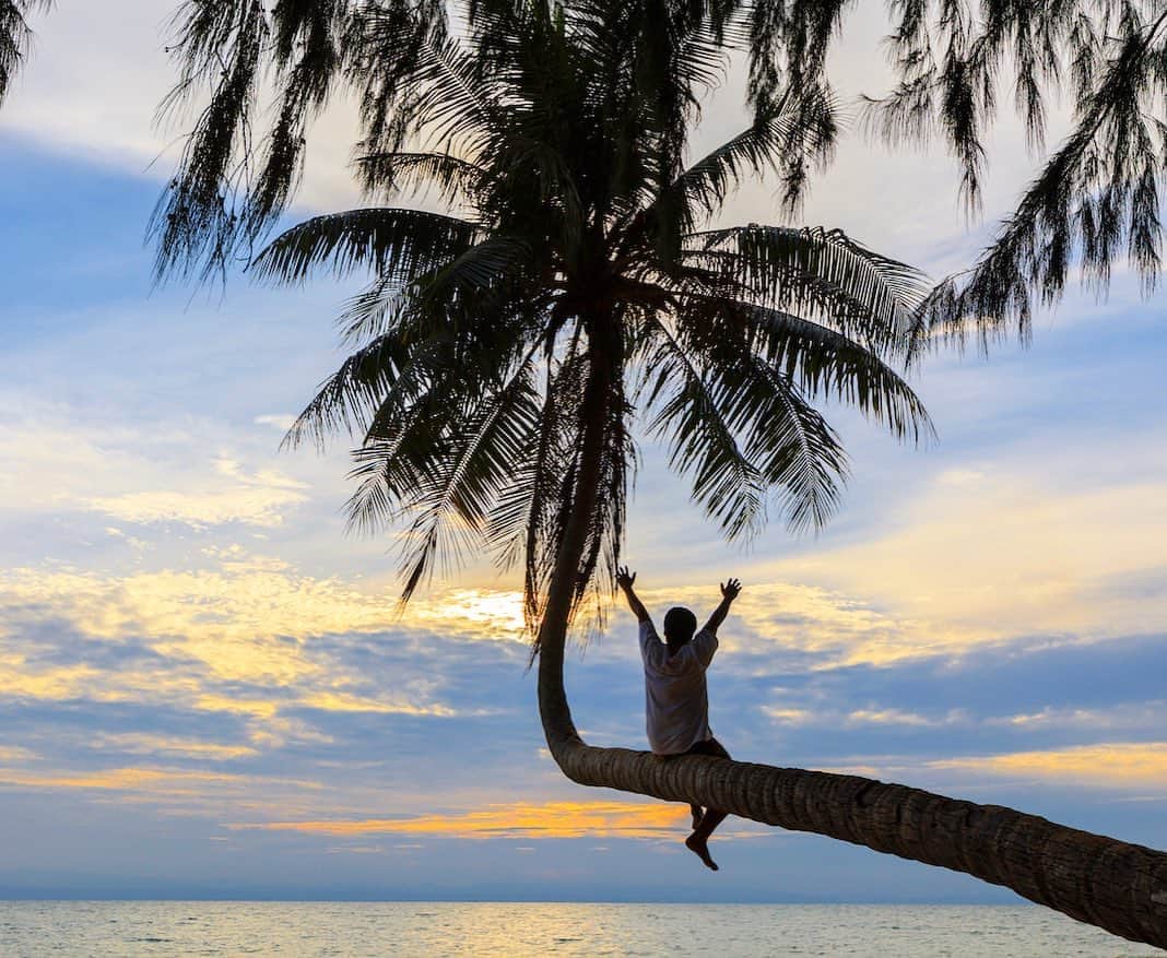 タイ国政府観光庁さんのインスタグラム写真 - (タイ国政府観光庁Instagram)「・﻿ ／﻿ 🇹🇭タイの秘境を巡る旅へ✈️﻿ まだ知られていないタイはここ❗﻿ ＼﻿ ﻿ 毎週木曜日は、まだまだ日本では知られていないタイの秘境スポットをご紹介🤫✨﻿ ﻿ 今回は、タイ南東端トラート県にある「クラダート島」へ🏃💨﻿ ﻿ クット島からボードに乗ること約1時間、アロカシア林に覆われた平地の島、クラダート島が浮かんでいます🏝﻿ ﻿ 無垢な自然の残るこの島には、美しいサンゴ礁と長～い白砂のビーチが🐚野生の鹿に出会えることもあるんです🦌💕﻿ ﻿ 島内には宿泊施設もあり、宿泊が可能です。宿泊する場合は前もってご予約を💁﻿ ﻿ #タイ #クラダート島 #タイビーチ #タイリゾート #南の島 #秘境 #リゾート #海外リゾート #こんなタイ知らなかった #もっと知りタイ #タイを知りつくす #タイ旅行 #旅好きな人と繋がりたい #旅行好きな人と繋がりたい #海外旅行 #thailand #kokradad #thaibeach #thairesort #hiddengems #thailandhiddengems  #amazingthailand #thailandtravel #thailandtrip #thai #thaistagram #lovethailand」8月20日 18時13分 - amazingthailandjp