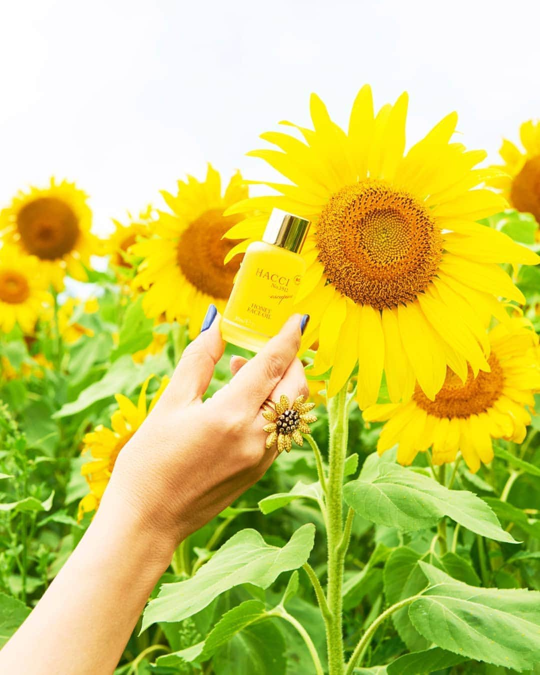 HACCI officialさんのインスタグラム写真 - (HACCI officialInstagram)「ひまわりは夏の元気のシンボル🌻そのひまわりの種子油をベースに、アルガンやヘーゼルナッツなどの厳選オイルを、絶妙なバランスで配合した100%オーガニックオイル。たくさん太陽を浴びる夏だからこそ、湯船の中でのオイルマッサージがおすすめ。”はちみつ×天然の植物オイル”の相乗効果で、ふっくらやわらか肌へ導きます。ダマスクローズとゼラニウムの香りでリラックスして、女性らしい艶めきを。  Sunflower is a symbol of summer's powerful energy. Our Face Oil is the perfect blend of plant-derived oils and honey that softens your skin. Scent of damask rose and geranium brings out your beauty from within.  #hacci #honey #bee #beauty #skincare #cosmetics #honeycosmetics #madeinjapan #faceoil #escapion #sunflower #organic #oil #bio #damaskrose #geranium #はちみつ #はちみつコスメ #スキンケア #フェイスオイル #エスケーピオン #オーガニックオイル #向日葵 #天然 #植物オイル #ダマスクローズ #ゼラニウム #元気」8月20日 18時12分 - hacci_official